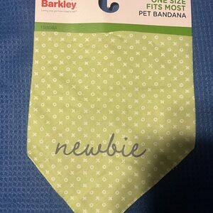 Boots & Barkley Light Green Pet Bandana